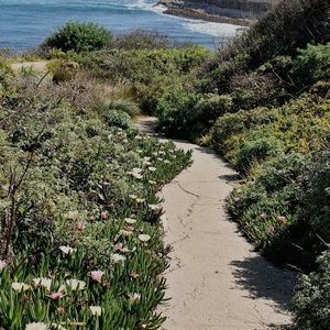 Meet your Posher, Jadelyn